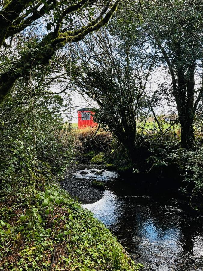 Hotel Stepping Stones Glamping Little Red Bantry Zewnętrze zdjęcie