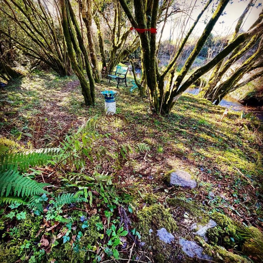 Hotel Stepping Stones Glamping Little Red Bantry Zewnętrze zdjęcie