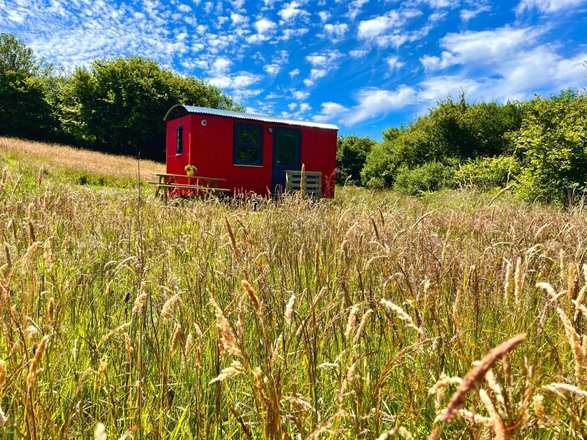 Hotel Stepping Stones Glamping Little Red Bantry Zewnętrze zdjęcie