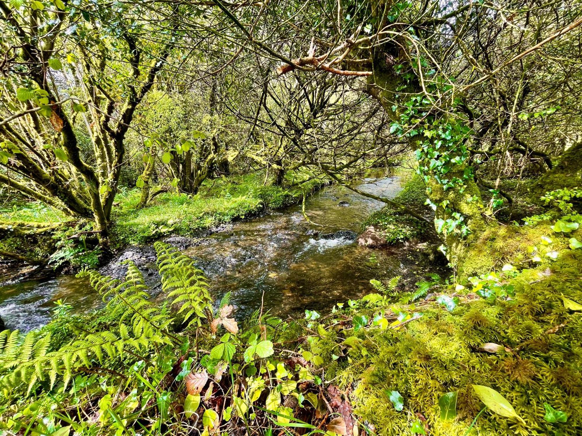 Hotel Stepping Stones Glamping Little Red Bantry Zewnętrze zdjęcie